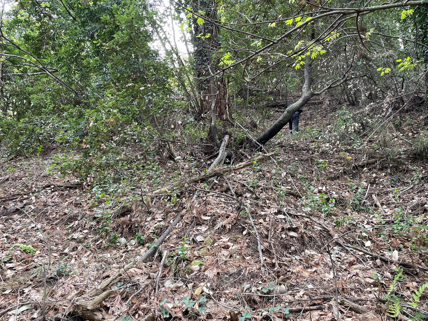 0 Santa Ana Road, LOS GATOS, California 95033, ,Lots And Land,For Sale,Santa Ana Road,40965561