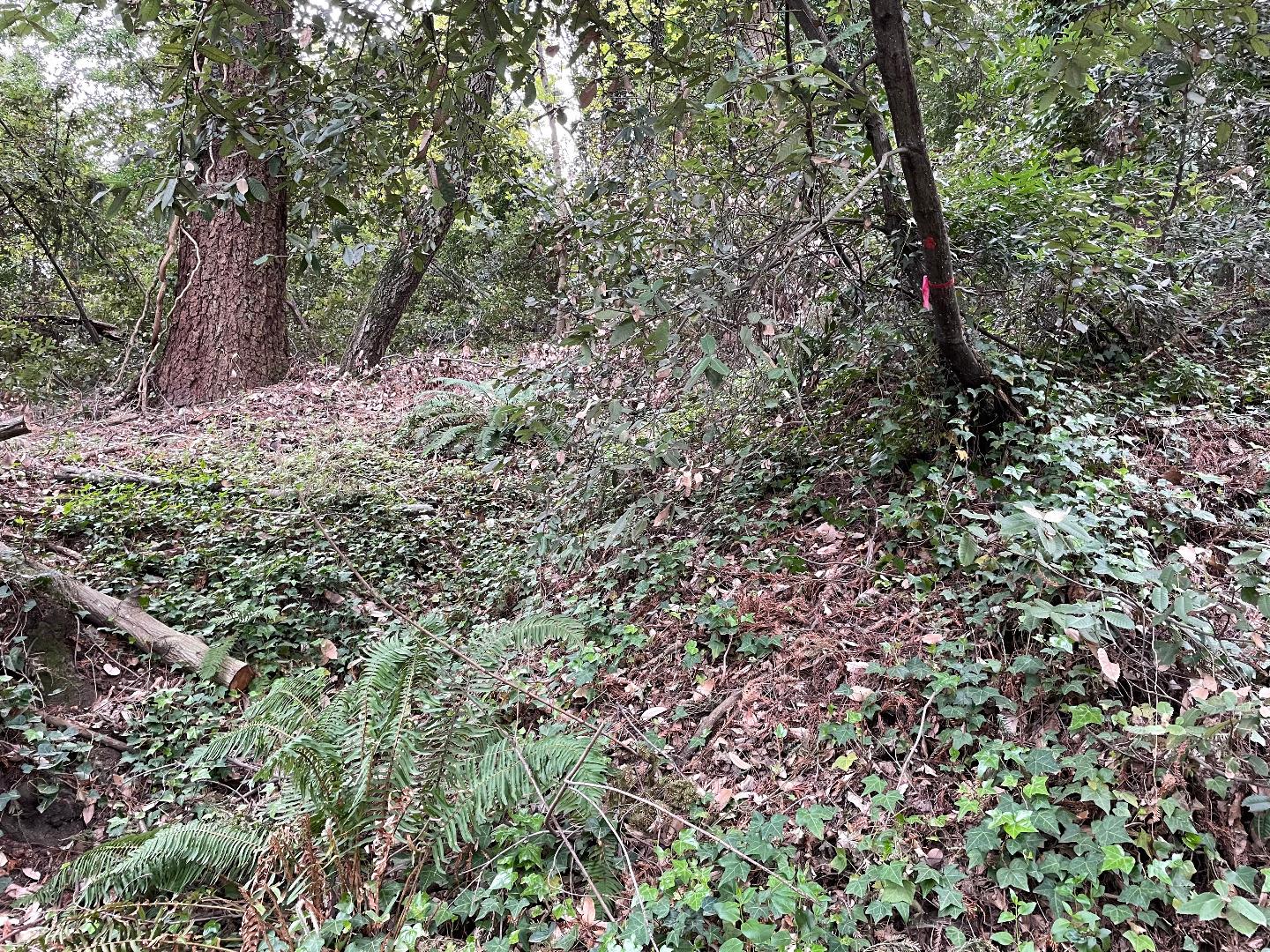 0 Santa Ana Road, LOS GATOS, California 95033, ,Lots And Land,For Sale,Santa Ana Road,40965561
