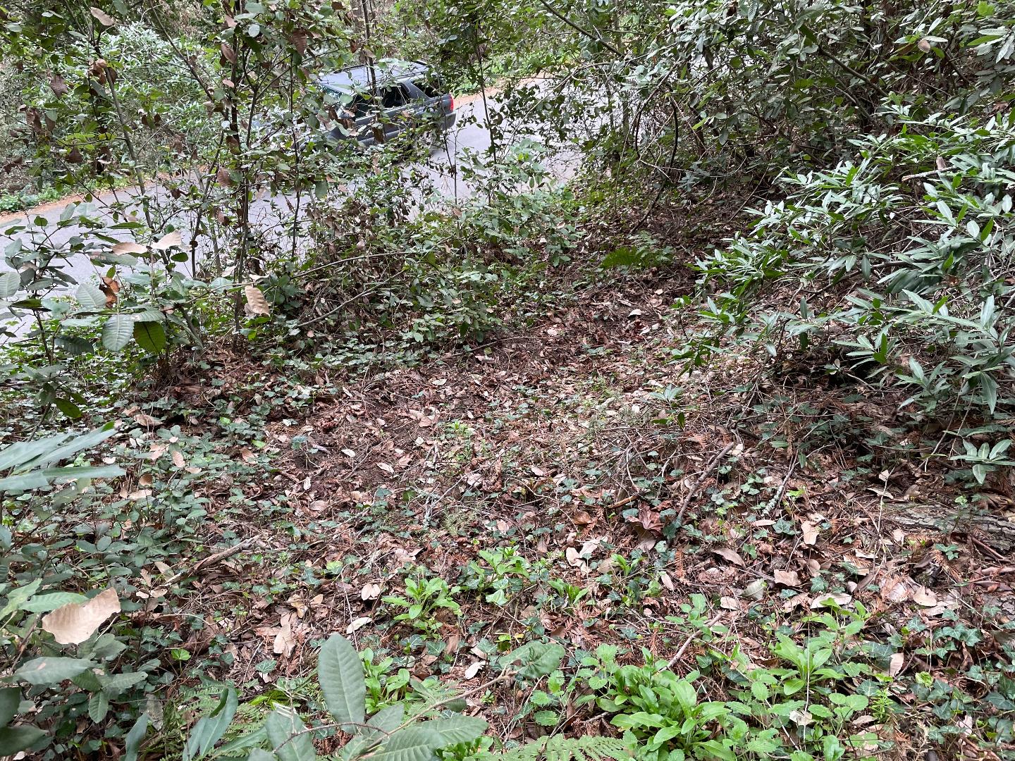 0 Santa Ana Road, LOS GATOS, California 95033, ,Lots And Land,For Sale,Santa Ana Road,40965561