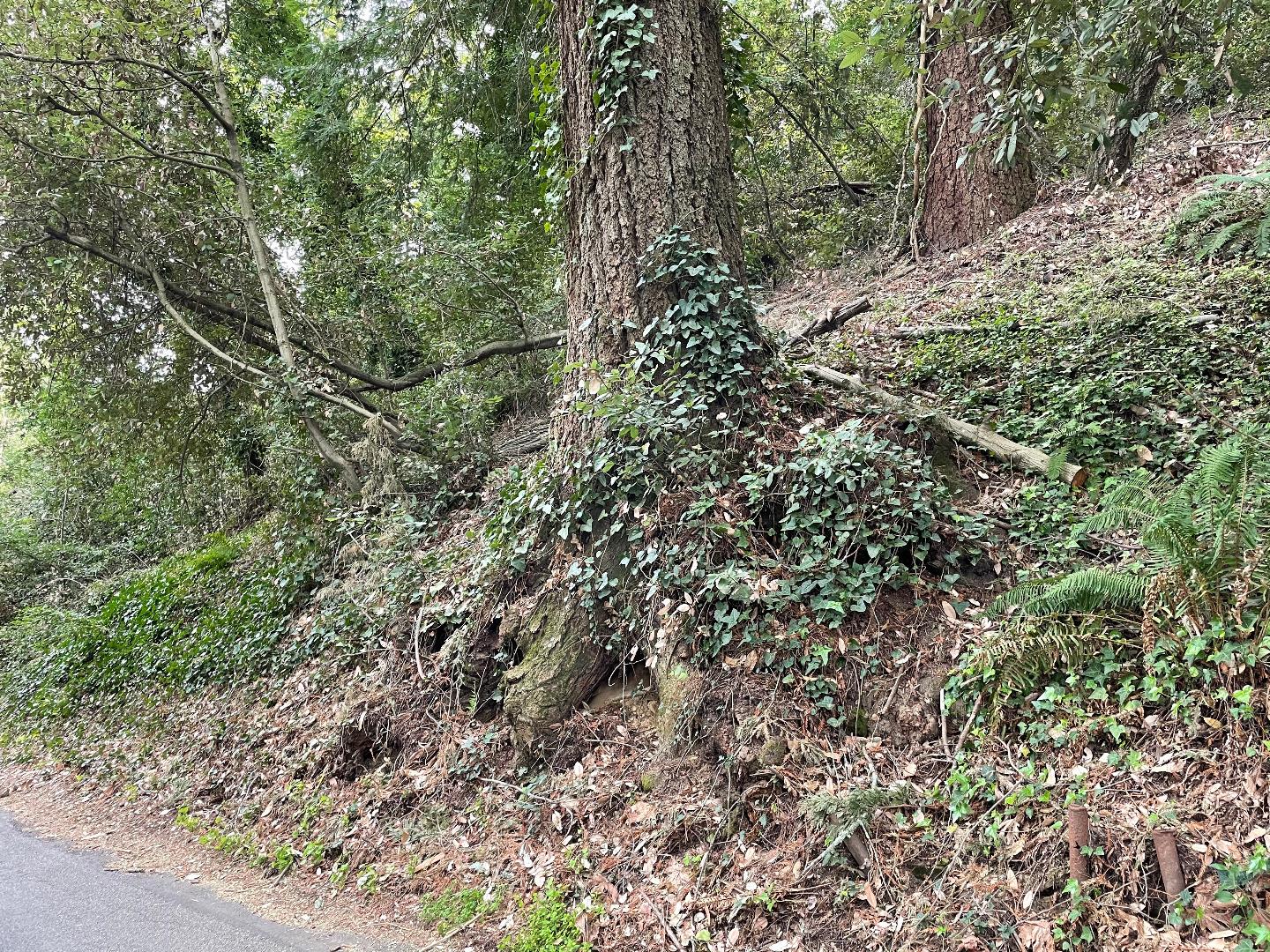 0 Santa Ana Road, LOS GATOS, California 95033, ,Lots And Land,For Sale,Santa Ana Road,40965561