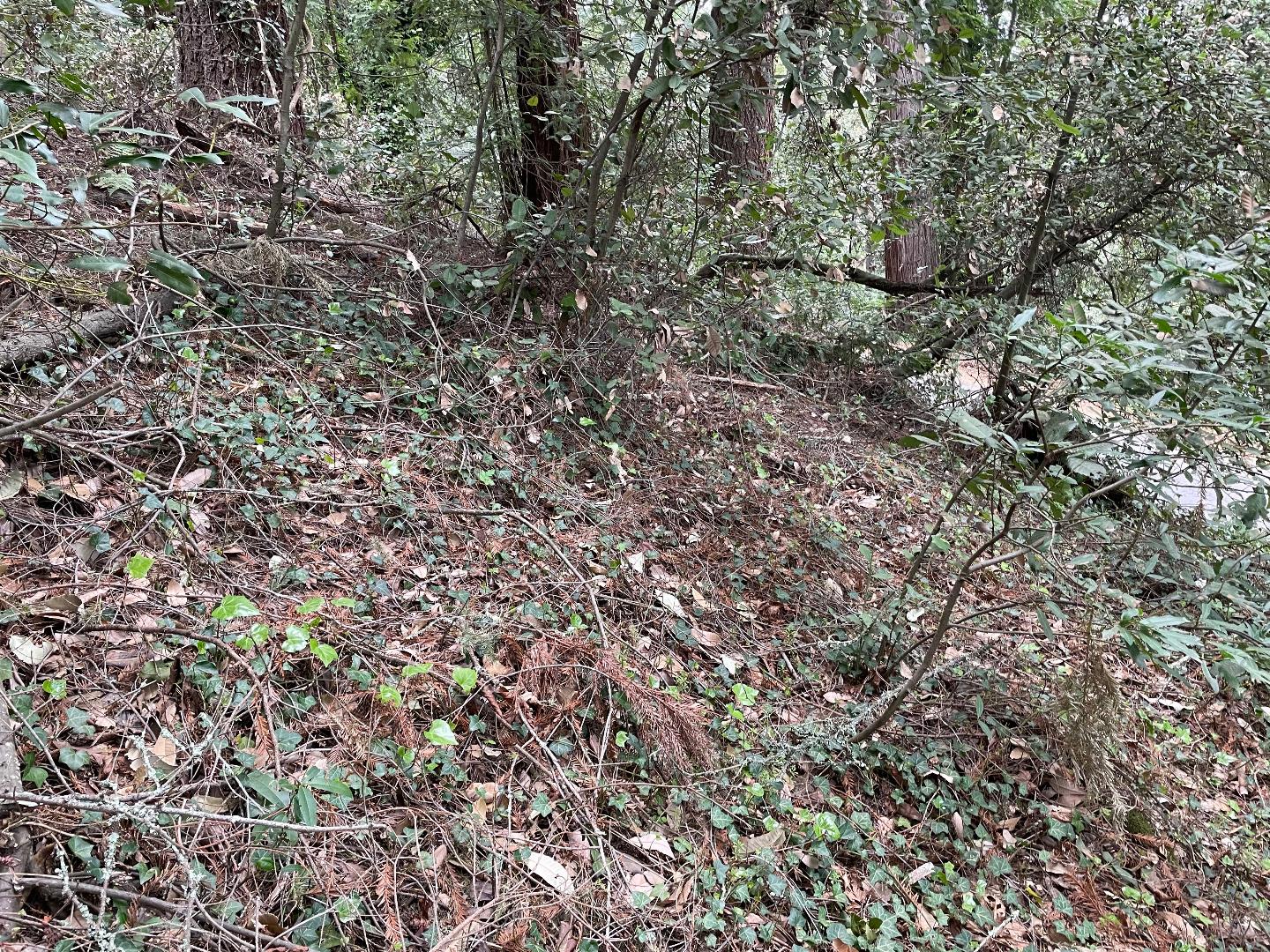 0 Santa Ana Road, LOS GATOS, California 95033, ,Lots And Land,For Sale,Santa Ana Road,40965561