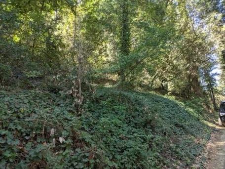 0 Santa Ana Road, LOS GATOS, California 95033, ,Lots And Land,For Sale,Santa Ana Road,40965561
