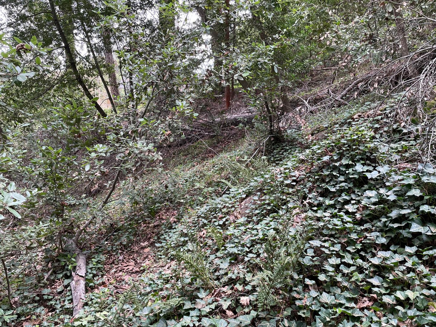 0 Santa Ana Road, LOS GATOS, California 95033, ,Lots And Land,For Sale,Santa Ana Road,40965561