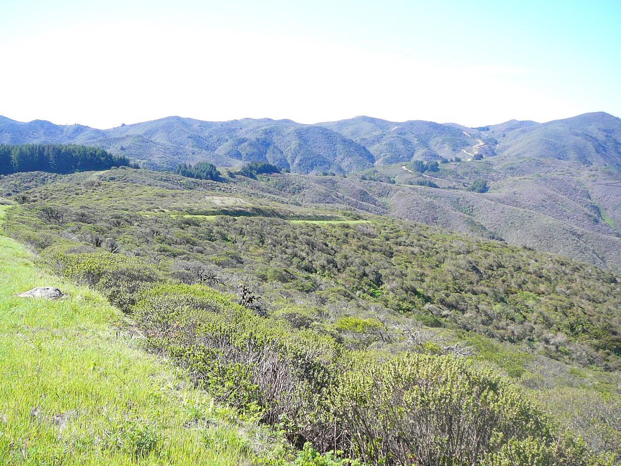 0 Weiler Ranch Road, PACIFICA, California 94044, ,Lots And Land,For Sale,Weiler Ranch Road,40965562