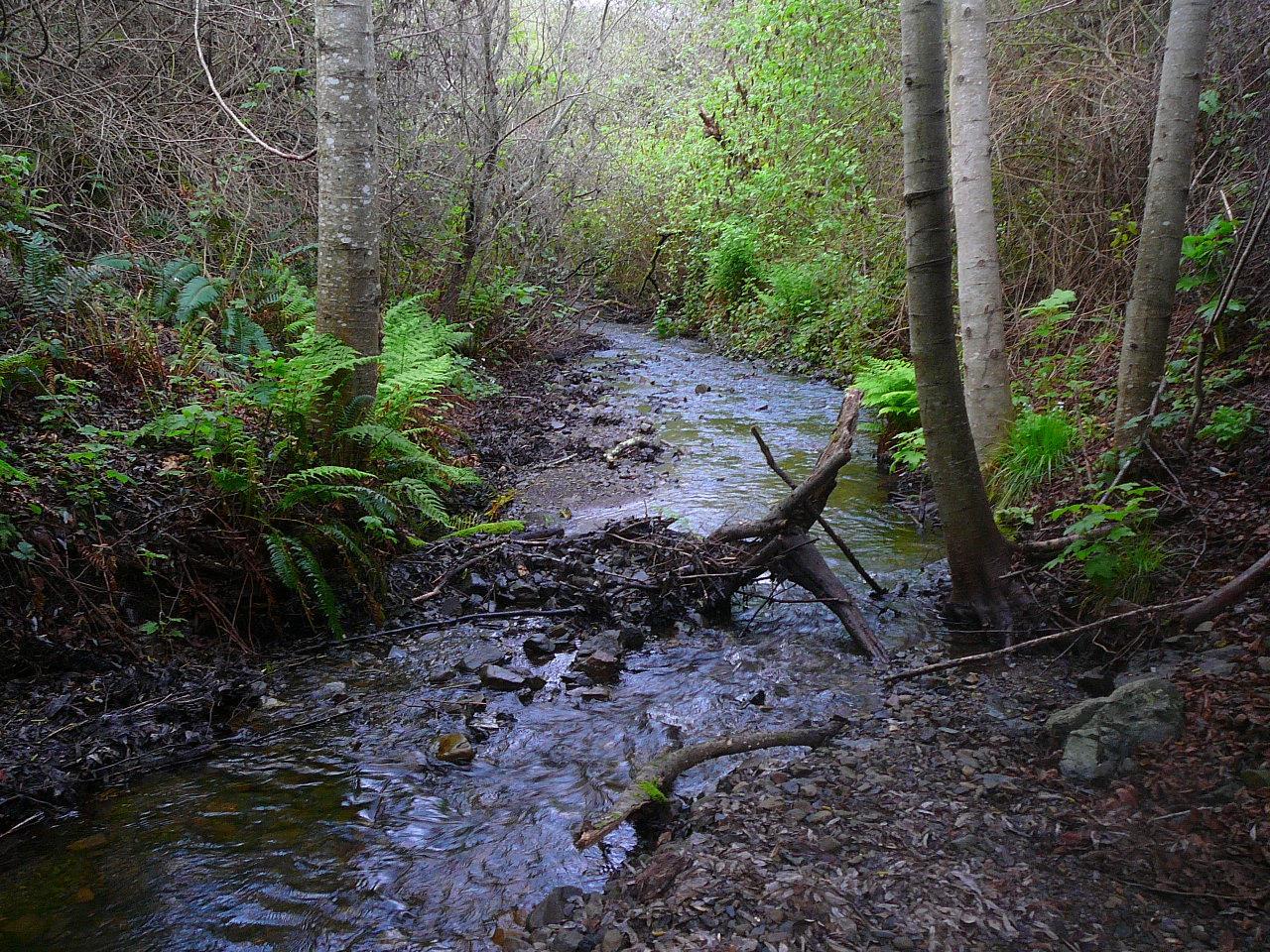 0 Weiler Ranch Road, PACIFICA, California 94044, ,Lots And Land,For Sale,Weiler Ranch Road,40965562