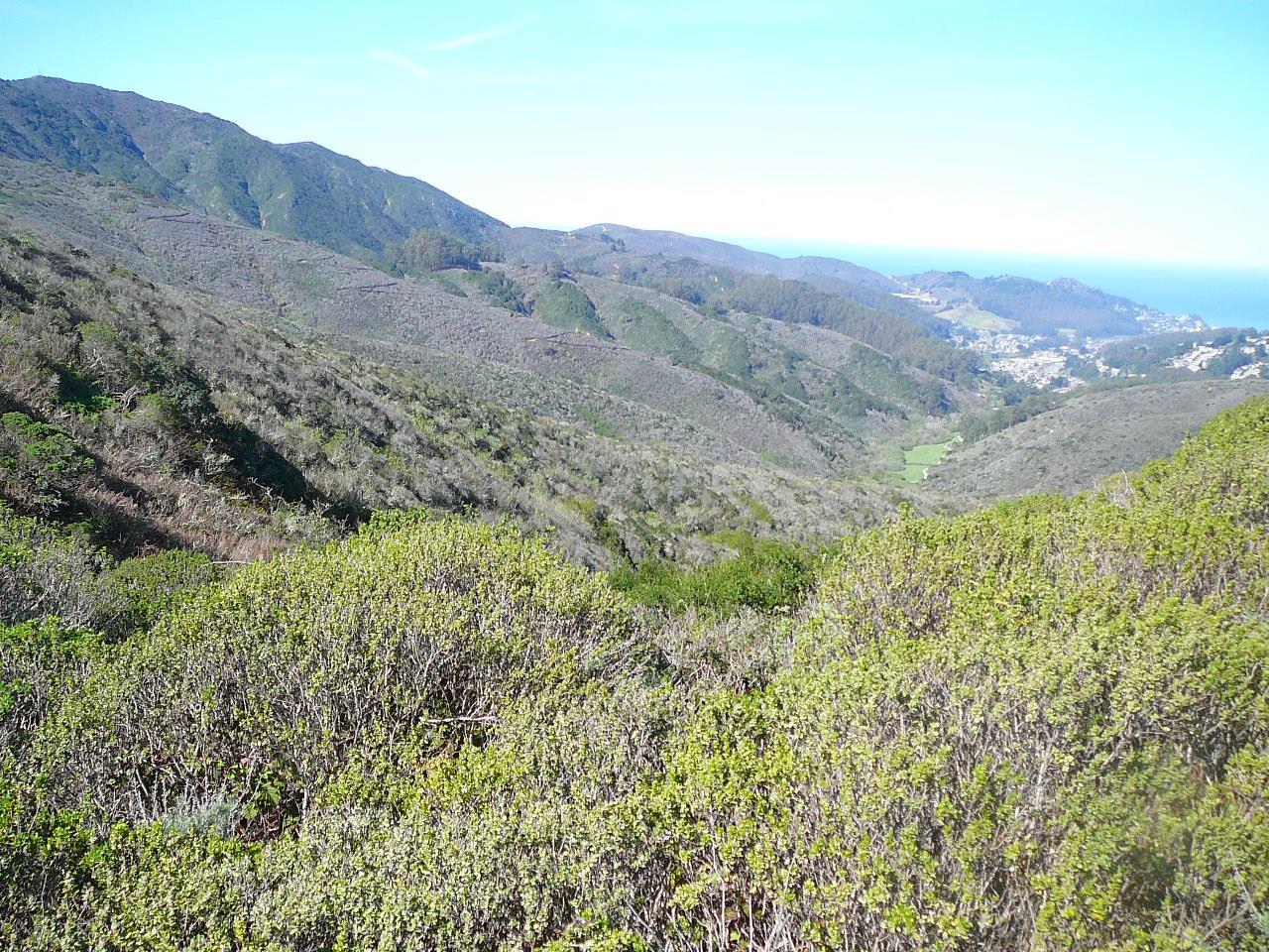 0 Weiler Ranch Road, PACIFICA, California 94044, ,Lots And Land,For Sale,Weiler Ranch Road,40965562