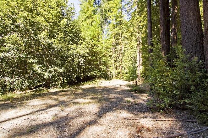 00 Slate Creek Road, LA HONDA, California 94020, ,Lots And Land,For Sale,Slate Creek Road,40965564