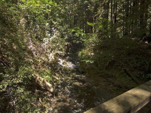 00 Slate Creek Road, LA HONDA, California 94020, ,Lots And Land,For Sale,Slate Creek Road,40965564