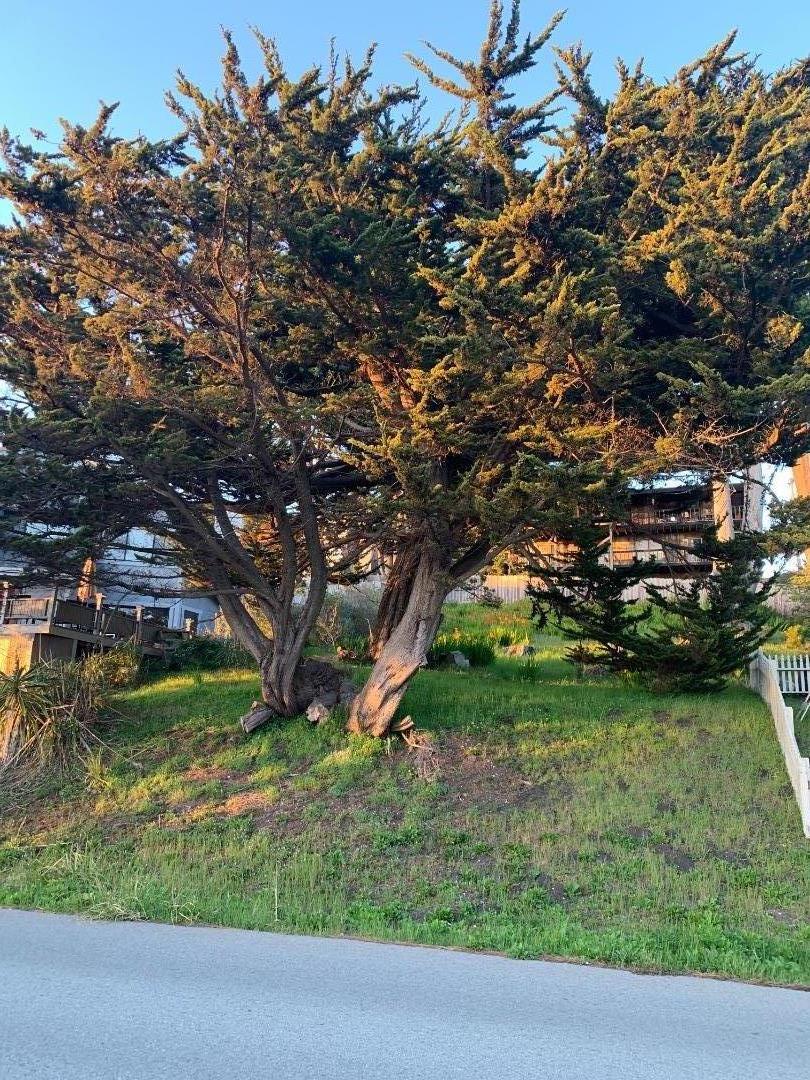 000 Etheldore, MOSS BEACH, California 94038, ,Lots And Land,For Sale,Etheldore,40965578