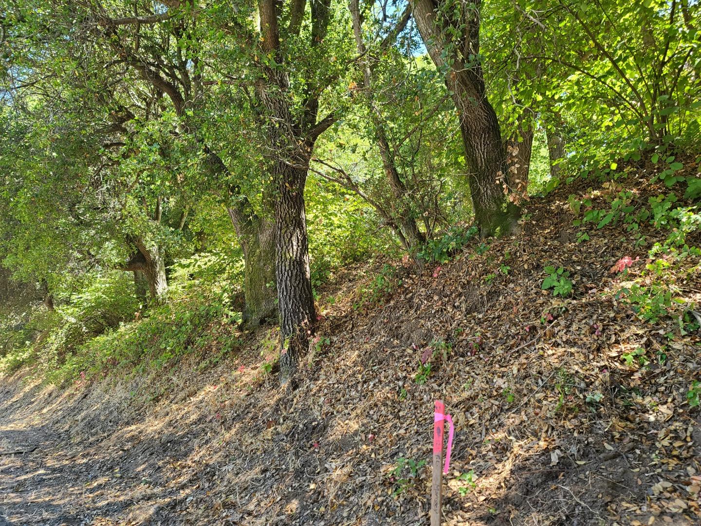 041-501-23 Valencia Road, APTOS, California 95003, ,Lots And Land,For Sale,Valencia Road,40965582