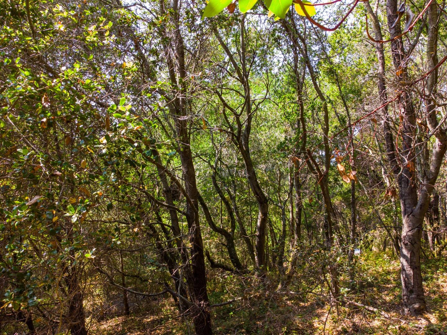 041-501-23 Valencia Road, APTOS, California 95003, ,Lots And Land,For Sale,Valencia Road,40965582