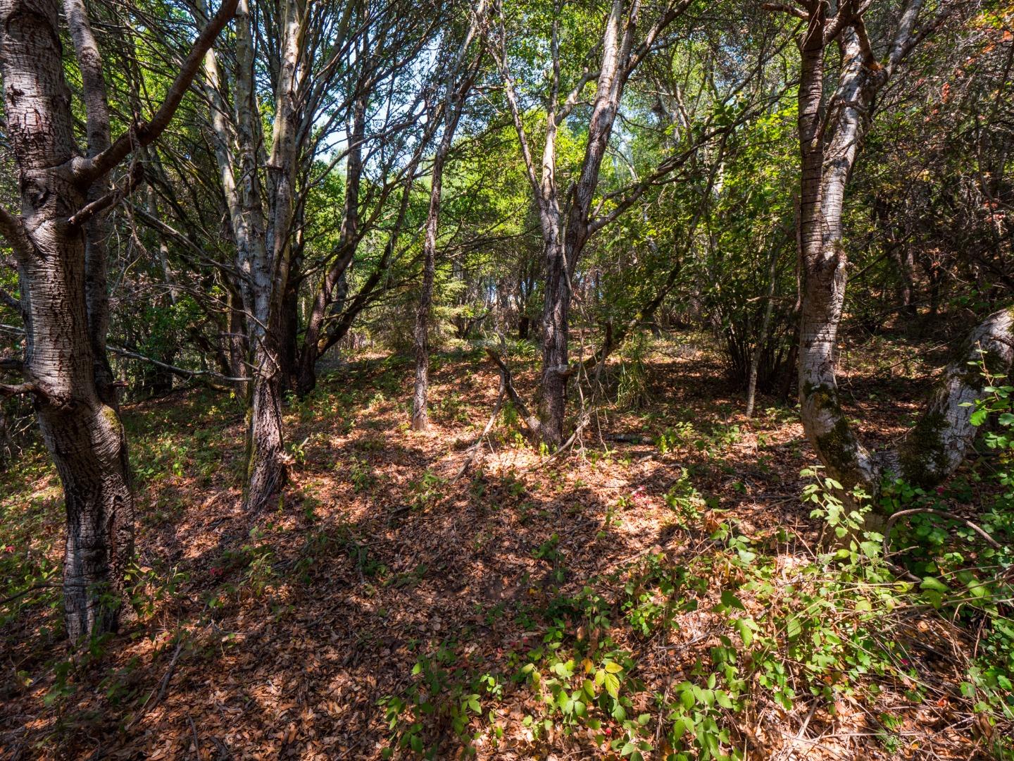 041-501-23 Valencia Road, APTOS, California 95003, ,Lots And Land,For Sale,Valencia Road,40965582