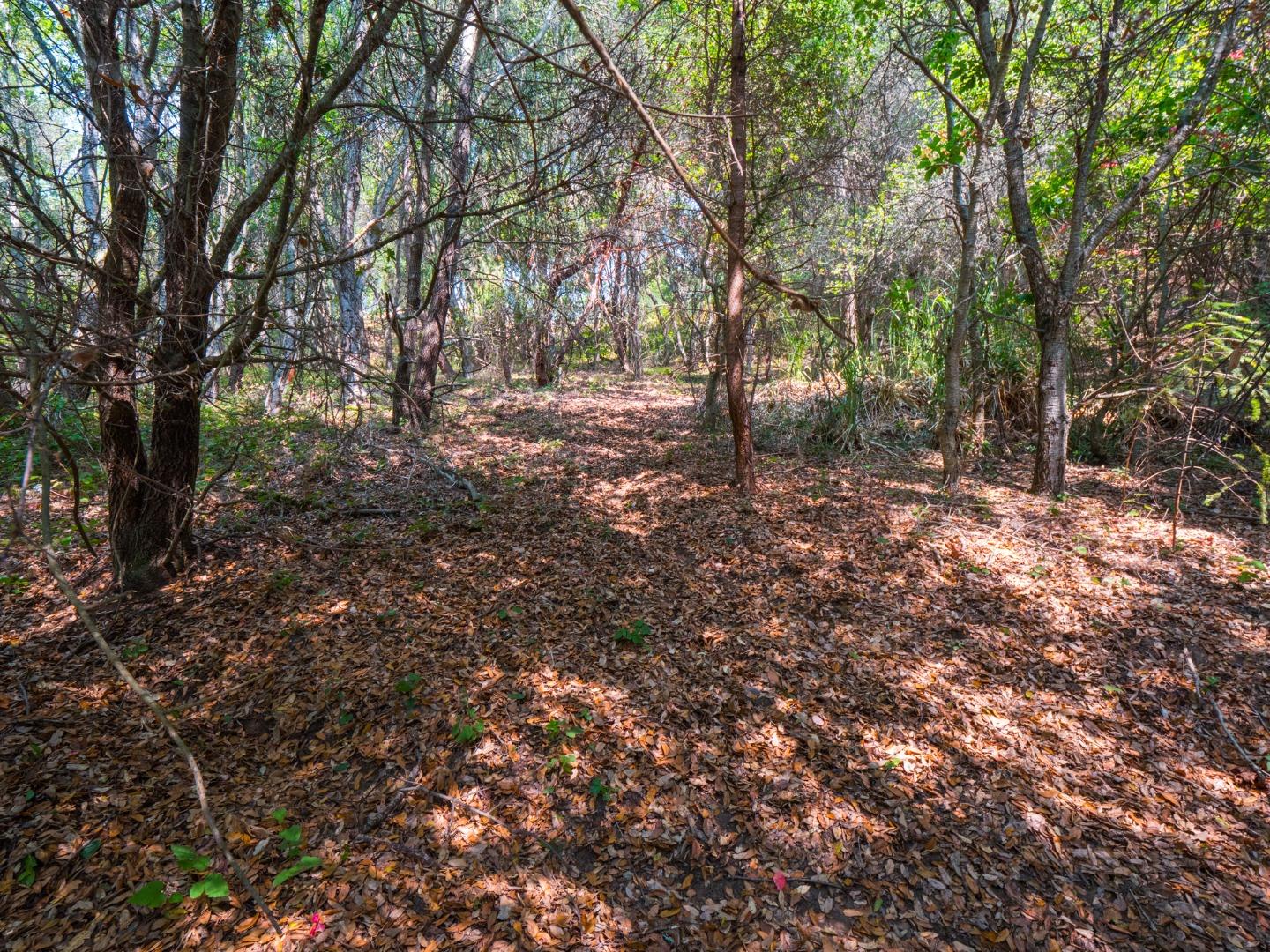 041-501-23 Valencia Road, APTOS, California 95003, ,Lots And Land,For Sale,Valencia Road,40965582