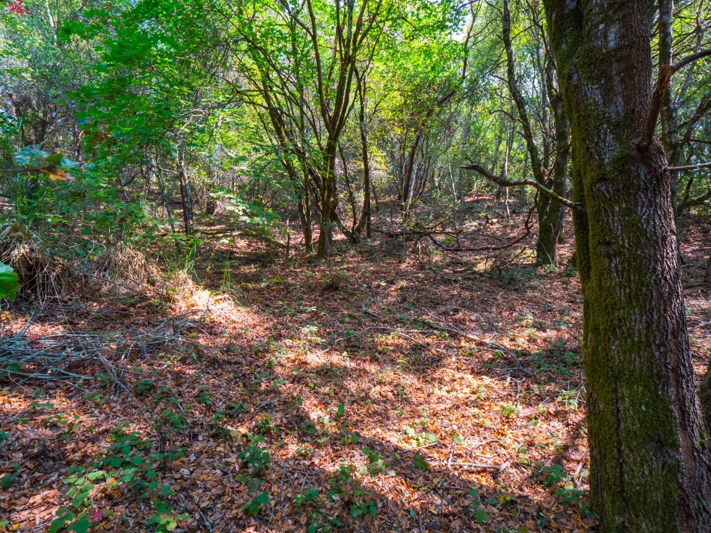 041-501-23 Valencia Road, APTOS, California 95003, ,Lots And Land,For Sale,Valencia Road,40965582