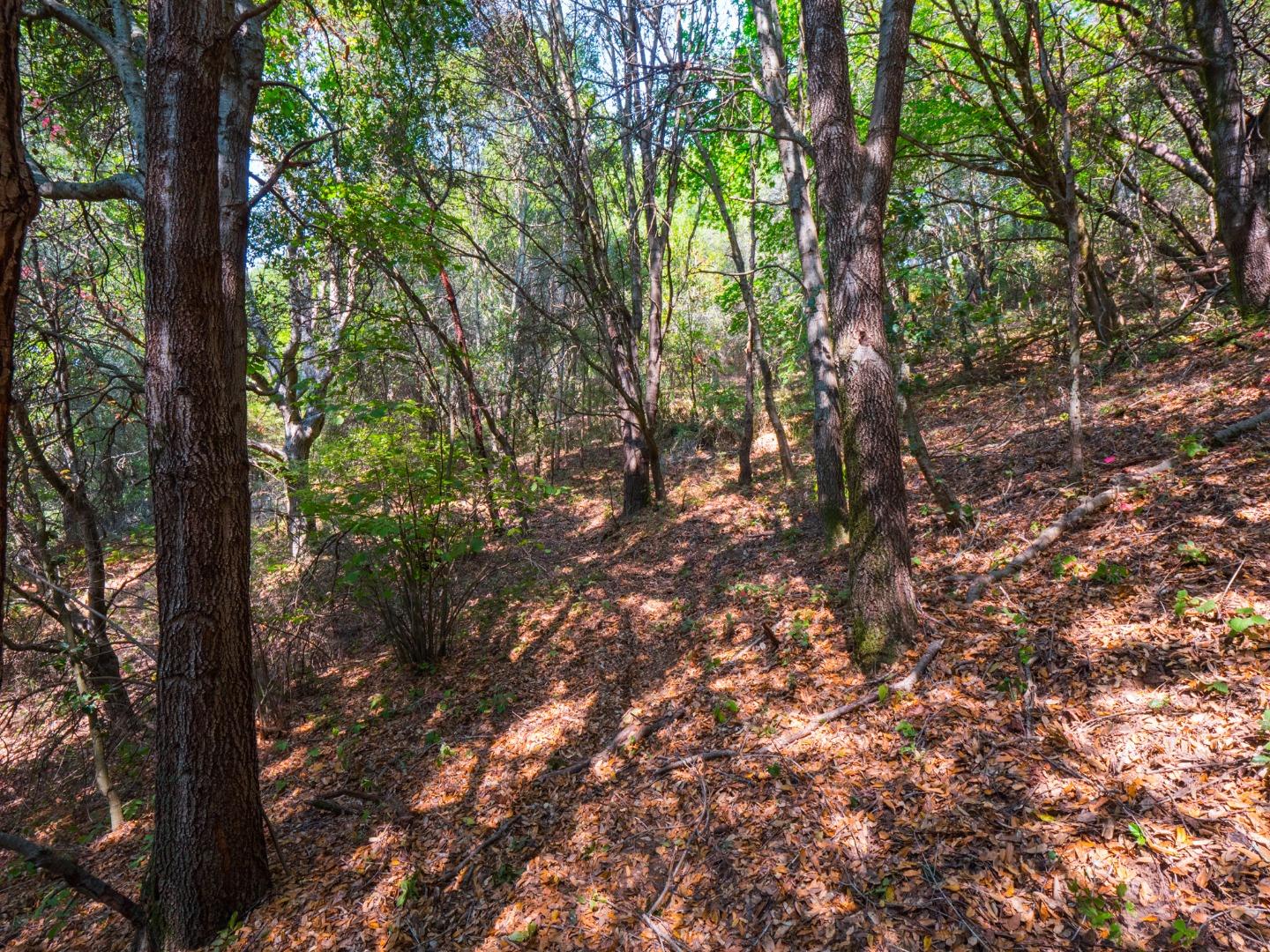 041-501-23 Valencia Road, APTOS, California 95003, ,Lots And Land,For Sale,Valencia Road,40965582