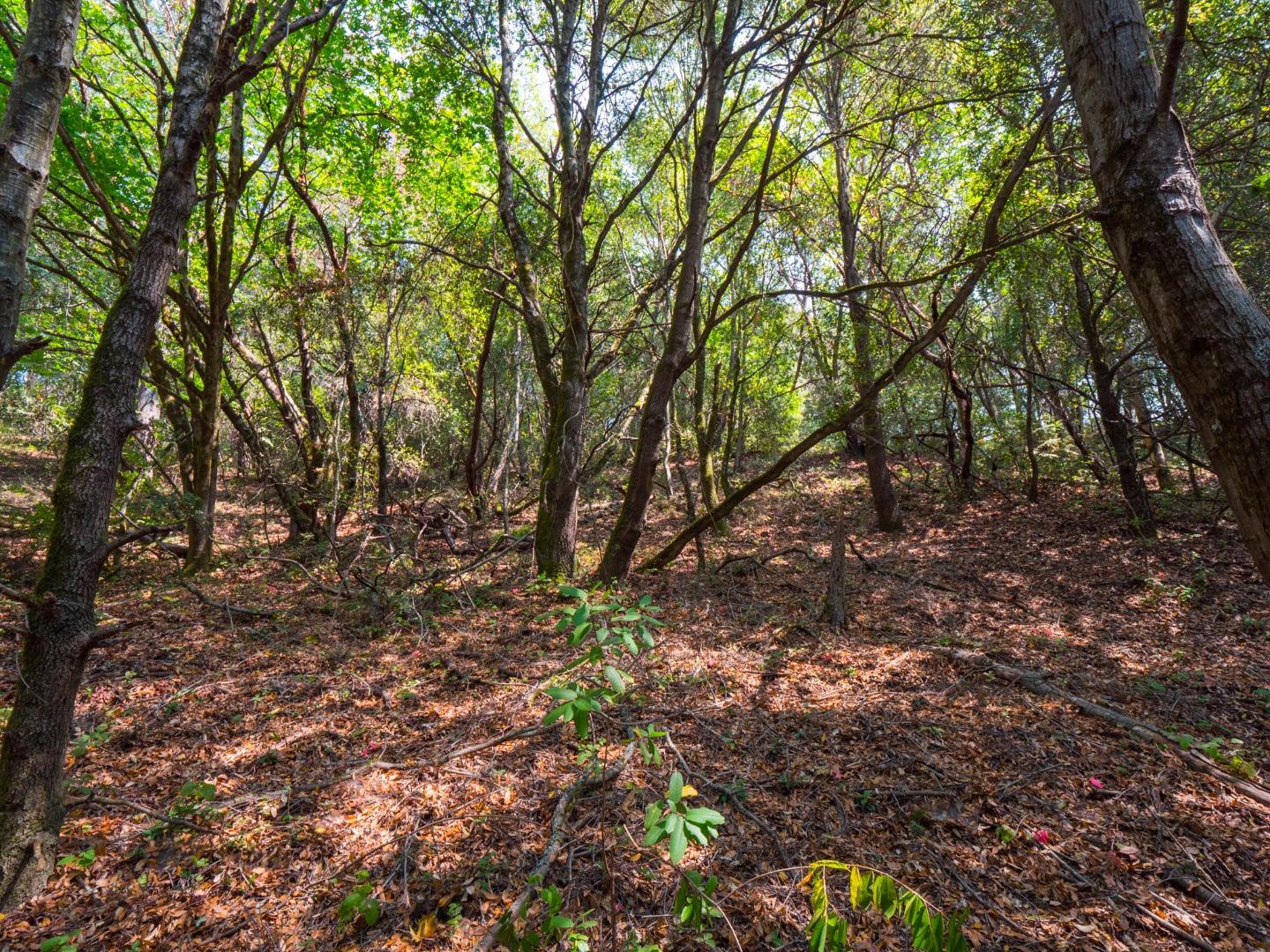 041-501-23 Valencia Road, APTOS, California 95003, ,Lots And Land,For Sale,Valencia Road,40965582