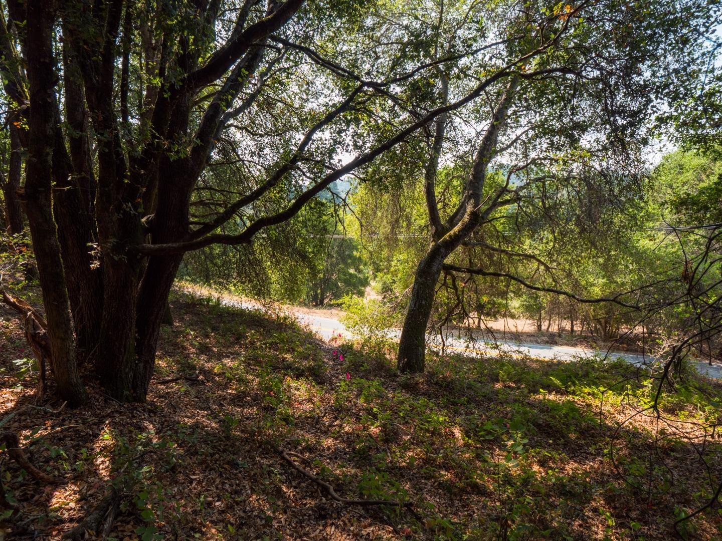 041-501-23 Valencia Road, APTOS, California 95003, ,Lots And Land,For Sale,Valencia Road,40965582