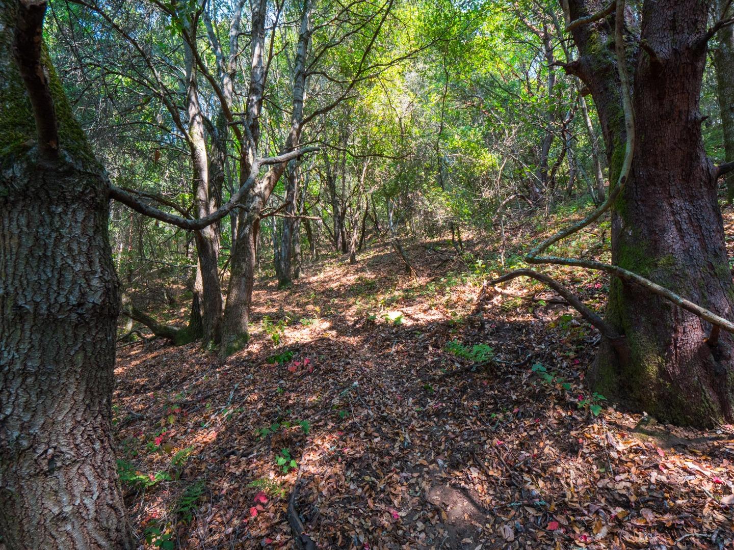 041-501-23 Valencia Road, APTOS, California 95003, ,Lots And Land,For Sale,Valencia Road,40965582