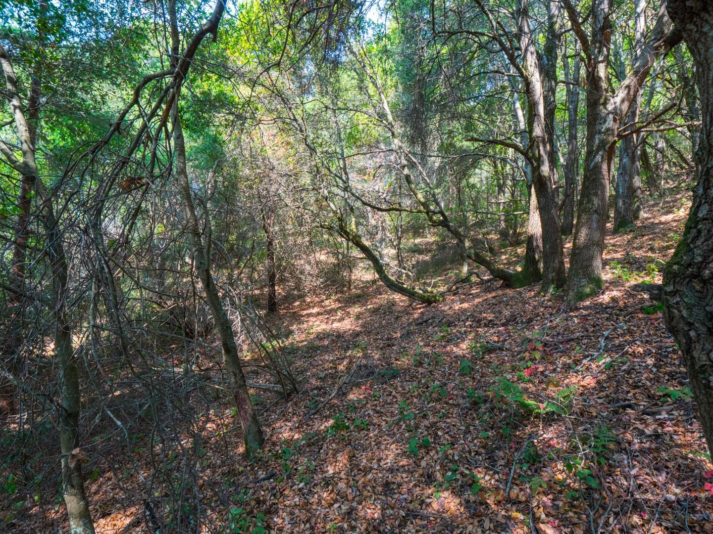 041-501-23 Valencia Road, APTOS, California 95003, ,Lots And Land,For Sale,Valencia Road,40965582