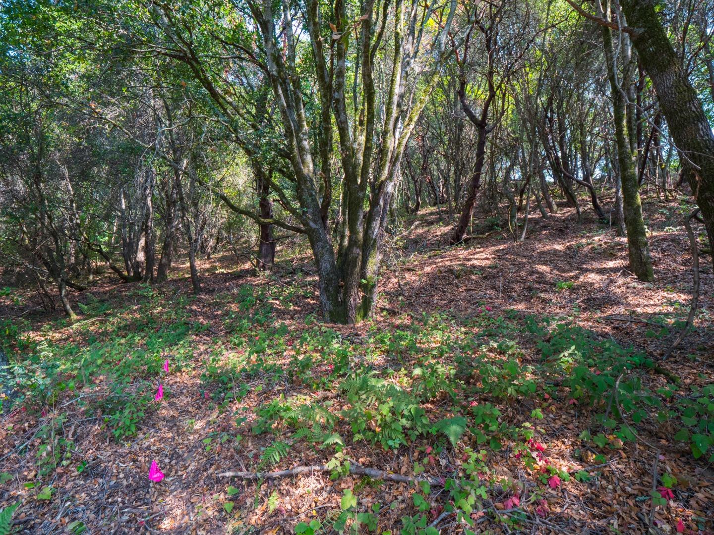 041-501-23 Valencia Road, APTOS, California 95003, ,Lots And Land,For Sale,Valencia Road,40965582