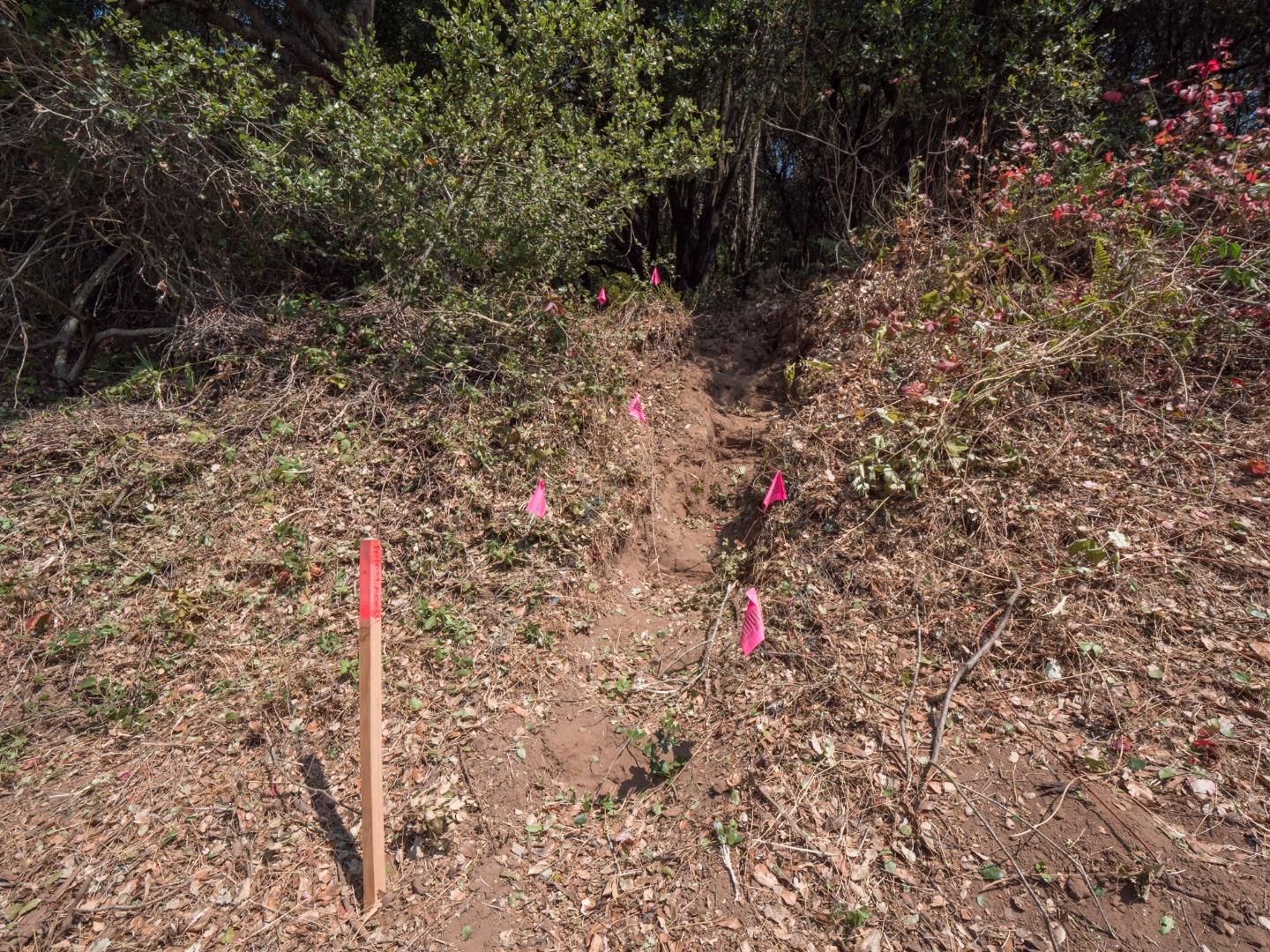 041-501-23 Valencia Road, APTOS, California 95003, ,Lots And Land,For Sale,Valencia Road,40965582