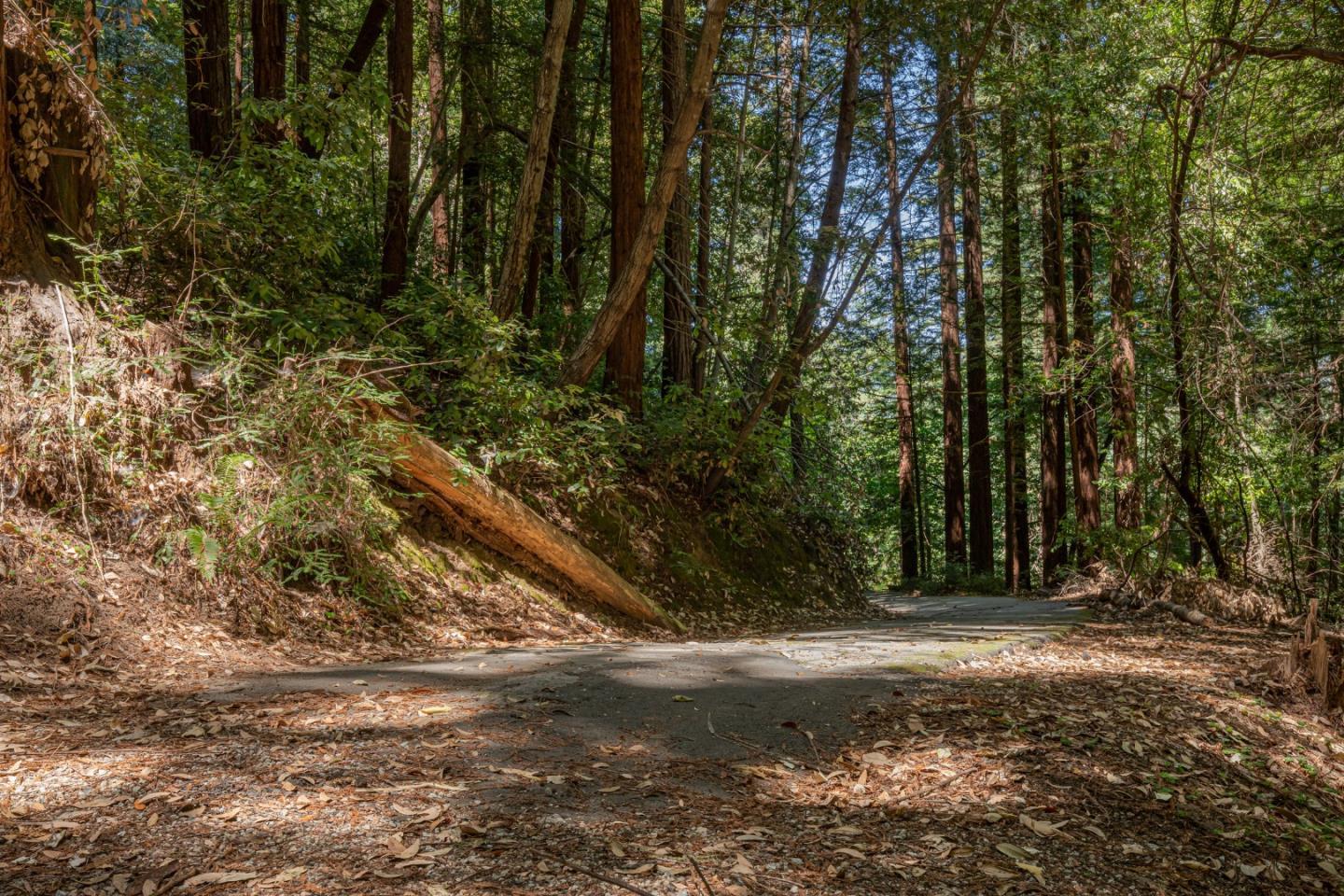 8705 Highway 9, BEN LOMOND, California 95005, ,Comm Industrial For Sale,For Sale,Highway 9,40965583
