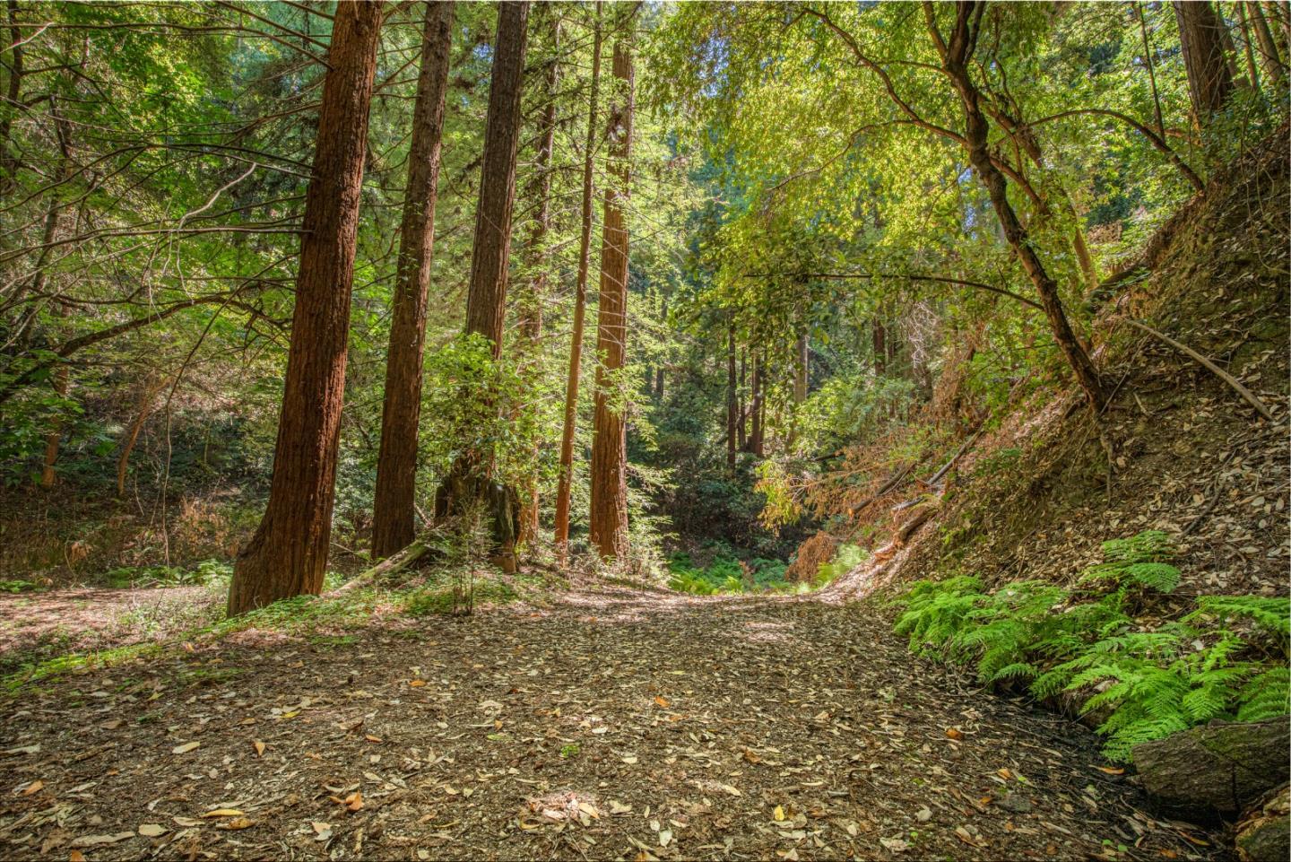 8705 Highway 9, BEN LOMOND, California 95005, ,Comm Industrial For Sale,For Sale,Highway 9,40965583
