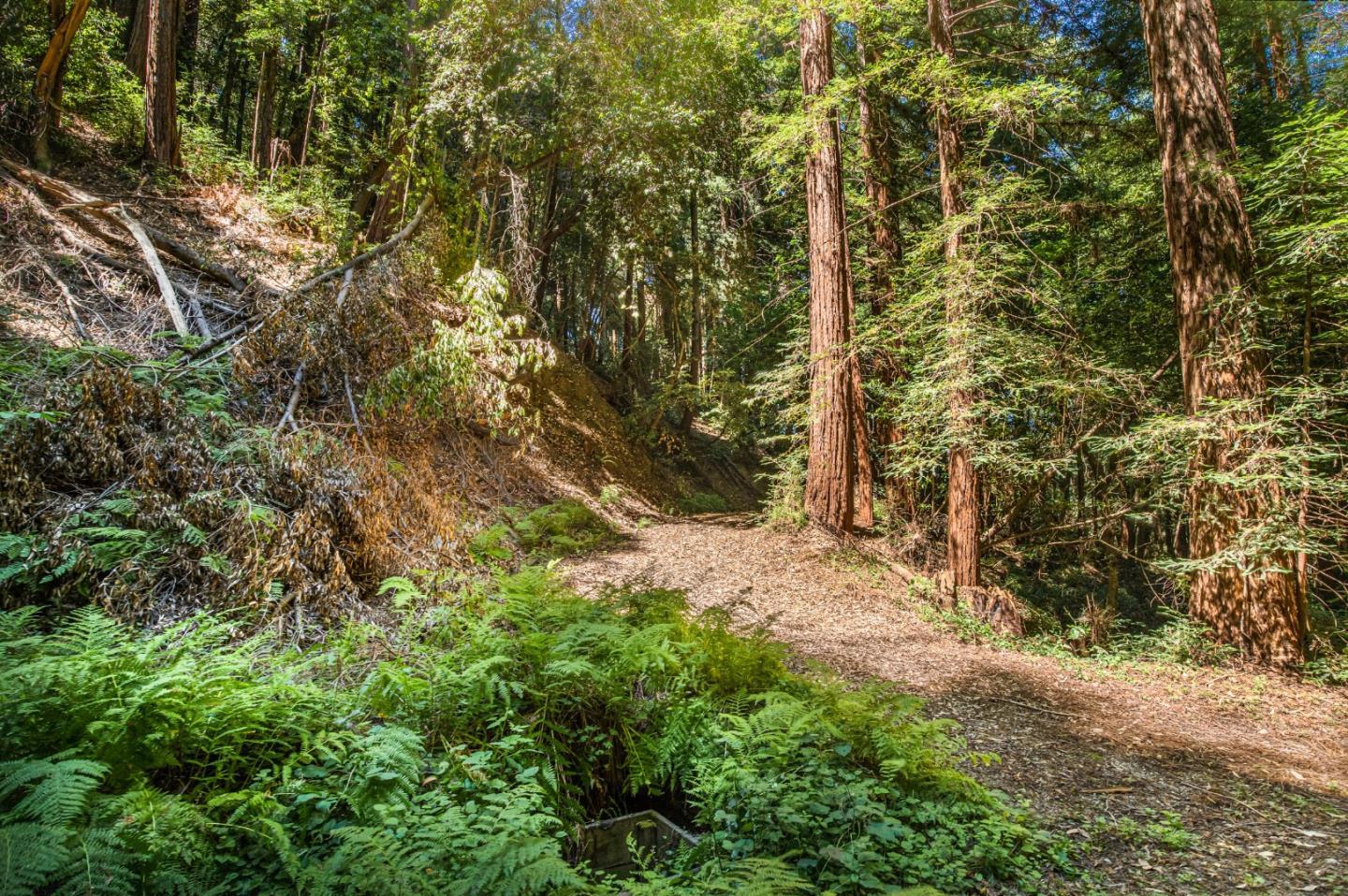 8705 Highway 9, BEN LOMOND, California 95005, ,Comm Industrial For Sale,For Sale,Highway 9,40965583