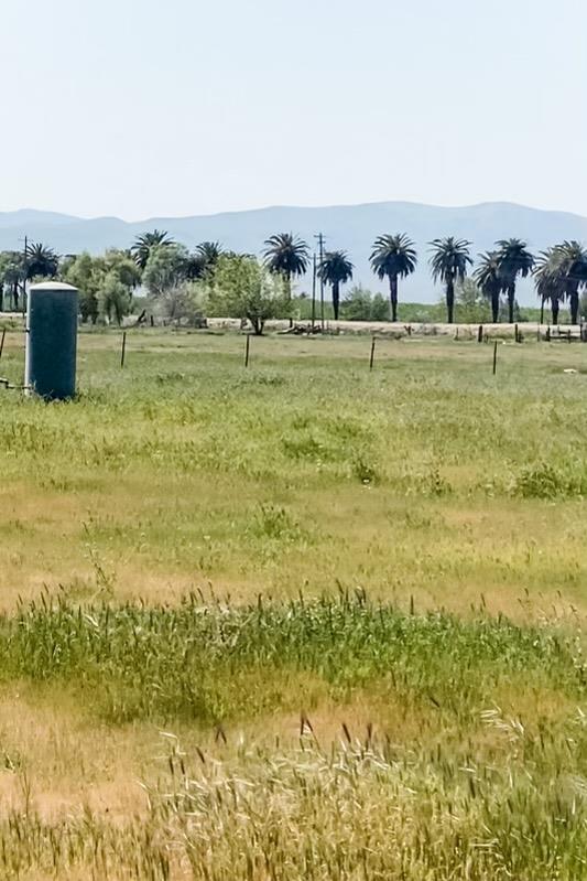 2631 Las Palmas Avenue, PATTERSON, California 95363, ,Lots And Land,For Sale,Las Palmas Avenue,40965585