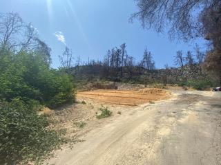 1875 Pine Flat, SANTA CRUZ, California 95060, ,Lots And Land,For Sale,Pine Flat,40965591