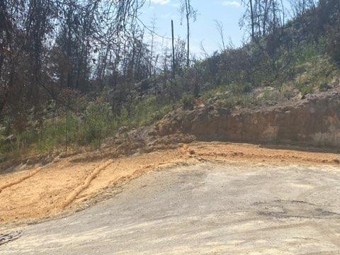 1875 Pine Flat, SANTA CRUZ, California 95060, ,Lots And Land,For Sale,Pine Flat,40965591