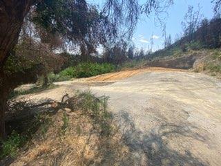 1875 Pine Flat, SANTA CRUZ, California 95060, ,Lots And Land,For Sale,Pine Flat,40965591