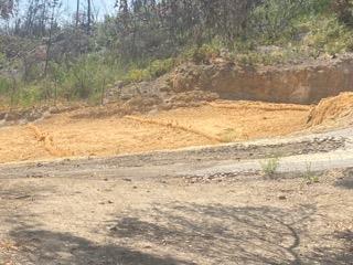 1875 Pine Flat, SANTA CRUZ, California 95060, ,Lots And Land,For Sale,Pine Flat,40965591