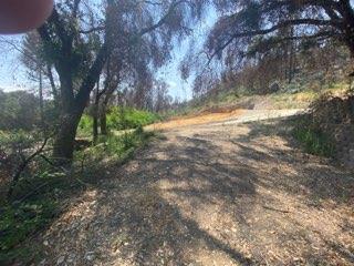 1875 Pine Flat, SANTA CRUZ, California 95060, ,Lots And Land,For Sale,Pine Flat,40965591