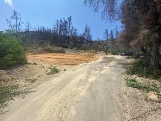 1875 Pine Flat, SANTA CRUZ, California 95060, ,Lots And Land,For Sale,Pine Flat,40965591