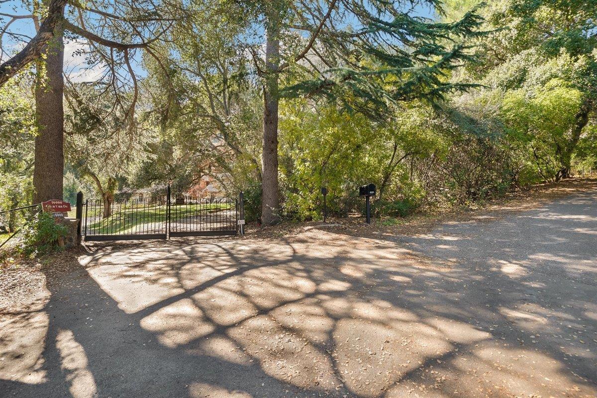 16000 Glen Una Drive, LOS GATOS, California 95030, ,Lots And Land,For Sale,Glen Una Drive,40965609