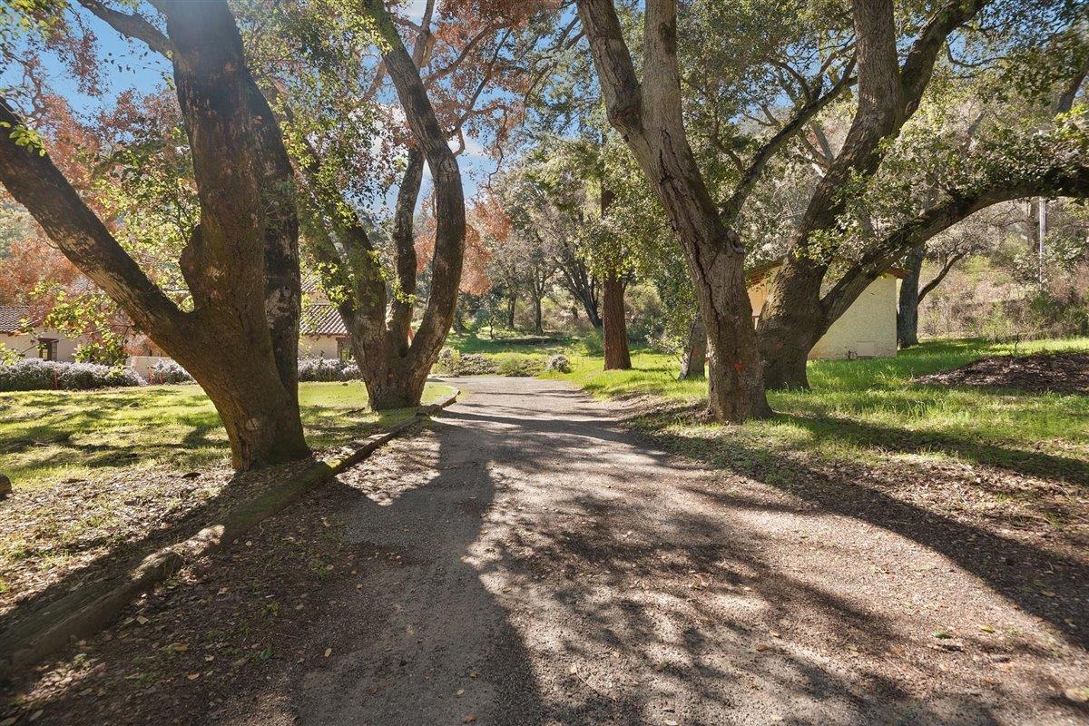 16000 Glen Una Drive, LOS GATOS, California 95030, ,Lots And Land,For Sale,Glen Una Drive,40965609