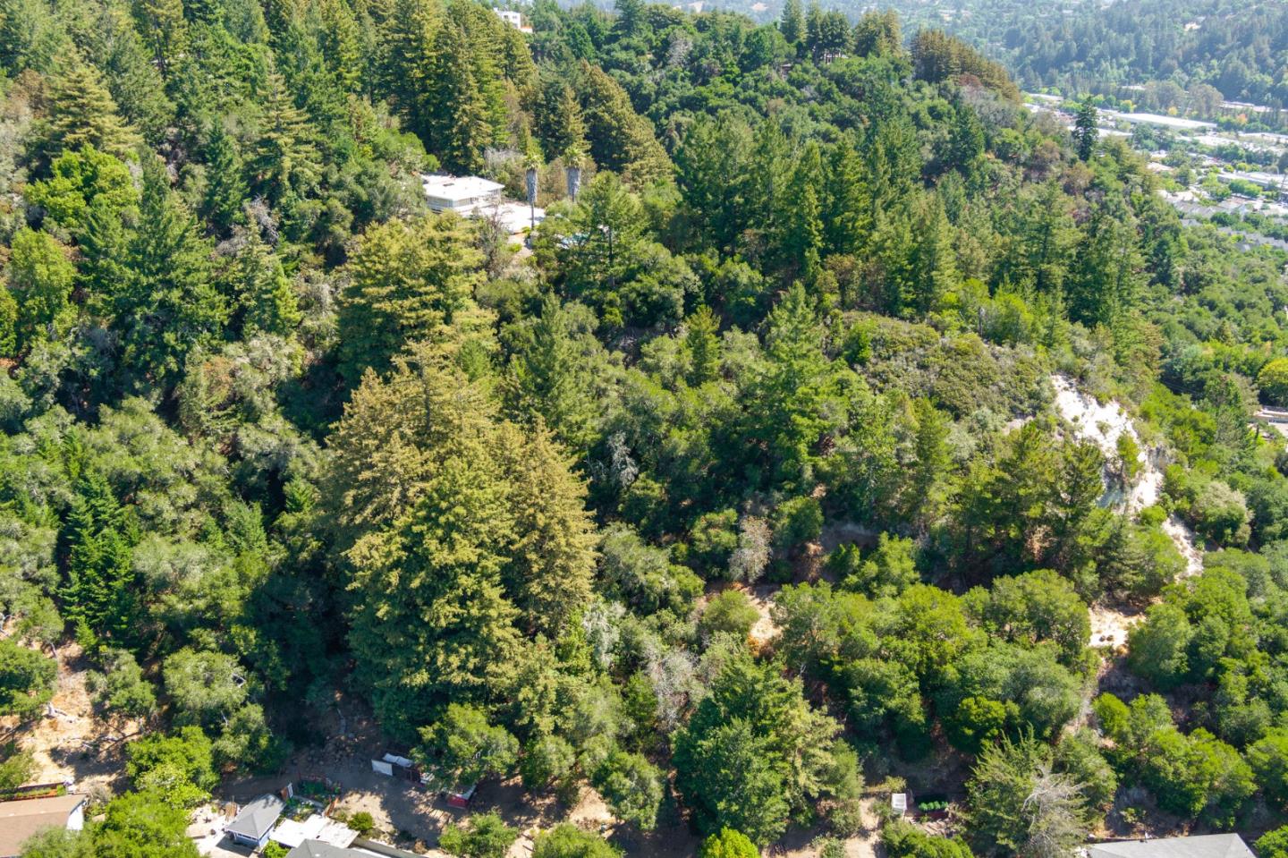 0 Oak Lane, SCOTTS VALLEY, California 95066, ,Lots And Land,For Sale,Oak Lane,40965616