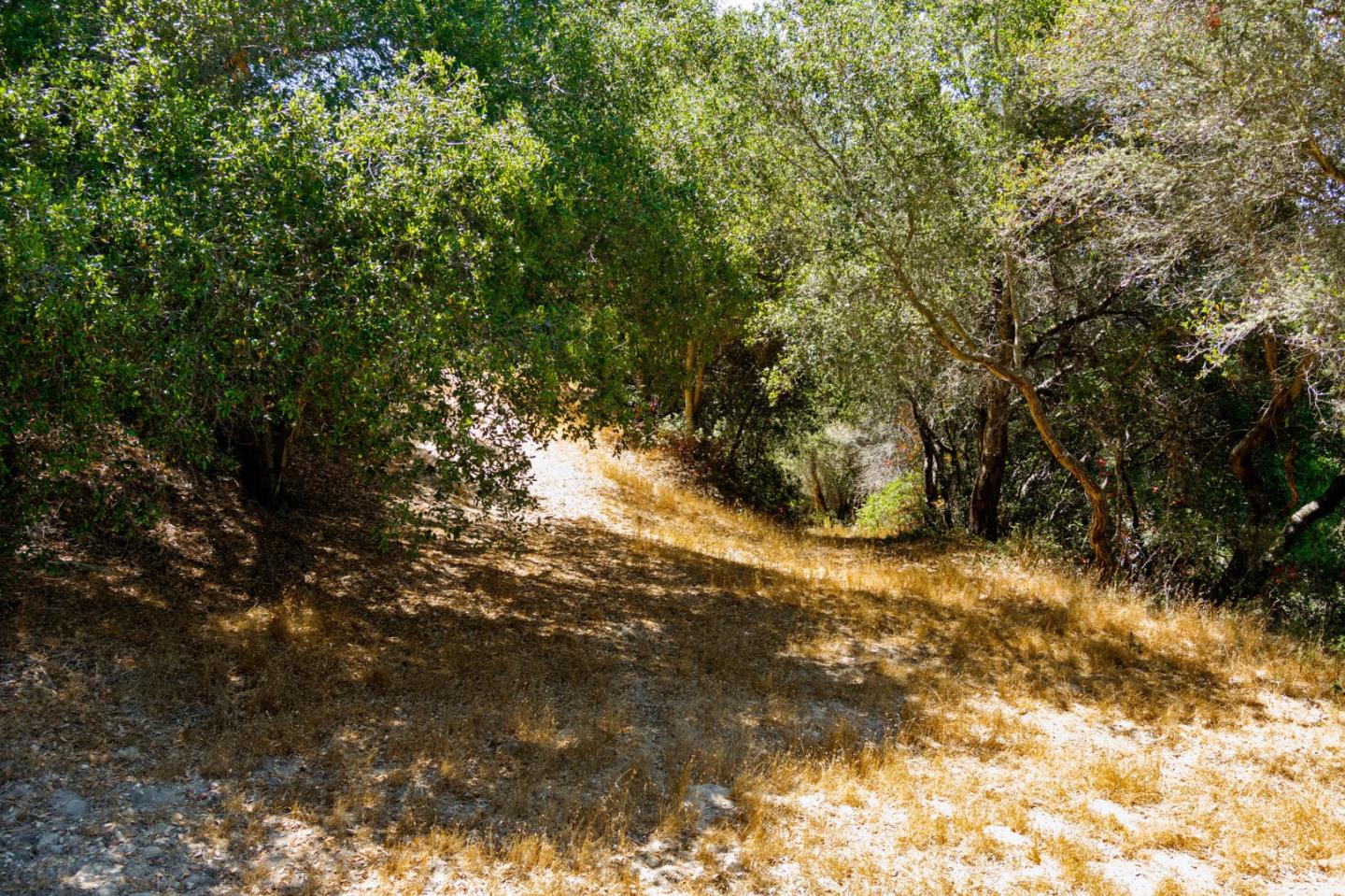 0 Oak Lane, SCOTTS VALLEY, California 95066, ,Lots And Land,For Sale,Oak Lane,40965616