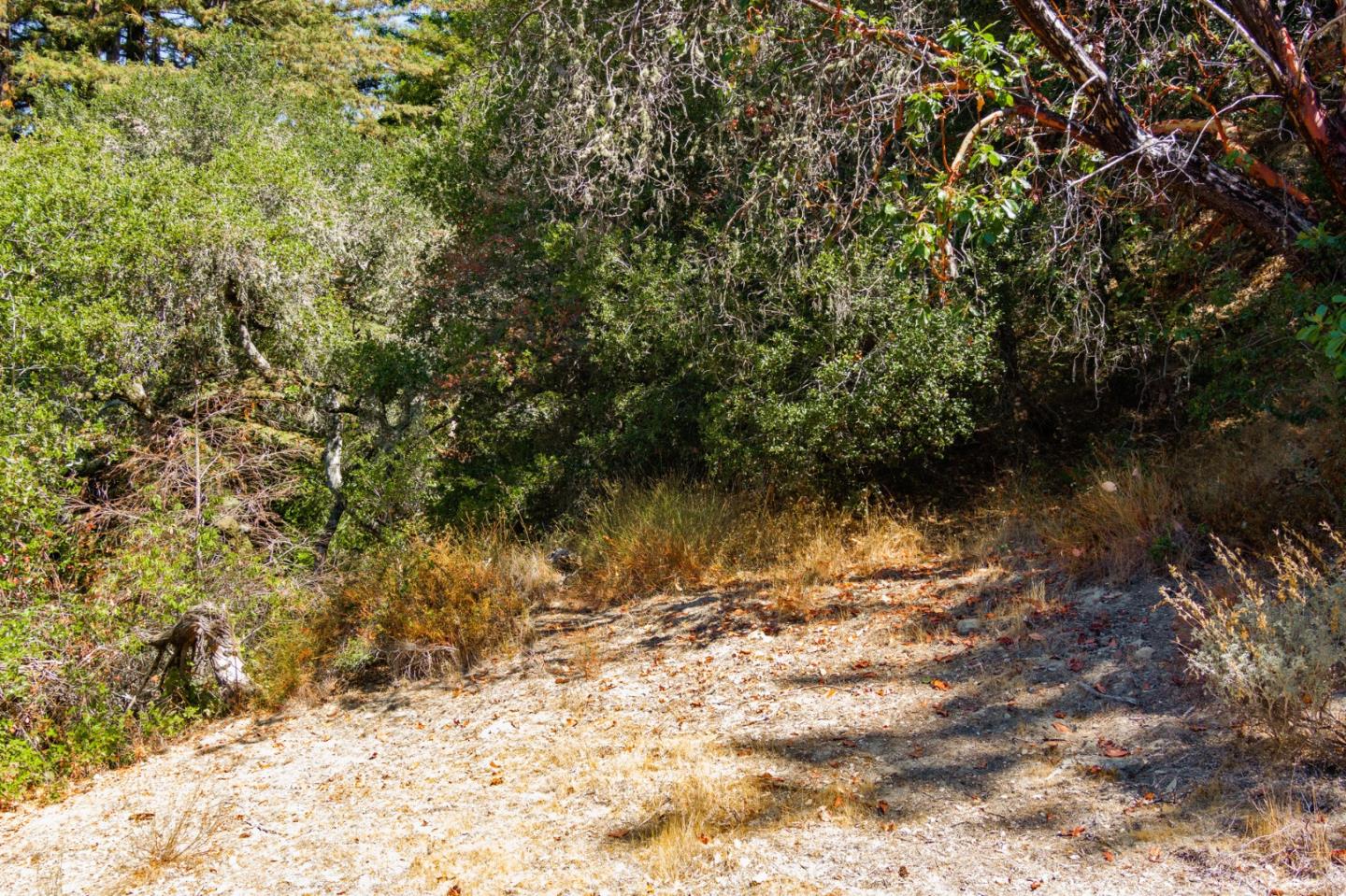 0 Oak Lane, SCOTTS VALLEY, California 95066, ,Lots And Land,For Sale,Oak Lane,40965616