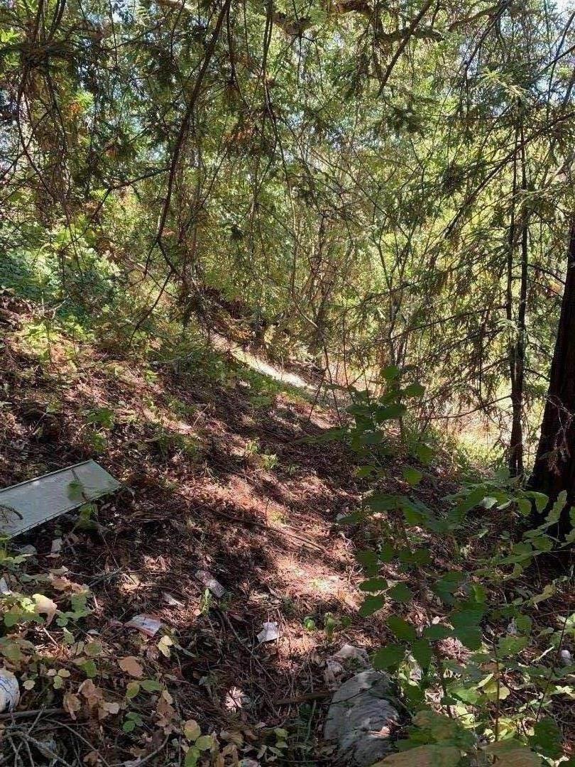 21181 Alum Rock Falls Road, SAN JOSE, California 95127, ,Lots And Land,For Sale,Alum Rock Falls Road,40965620