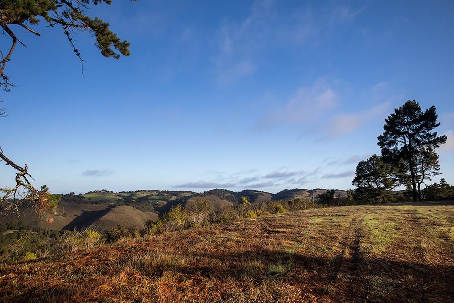 34 Tehama (Lot 29), CARMEL, California 93923, ,Lots And Land,For Sale,Tehama (Lot 29),40965622