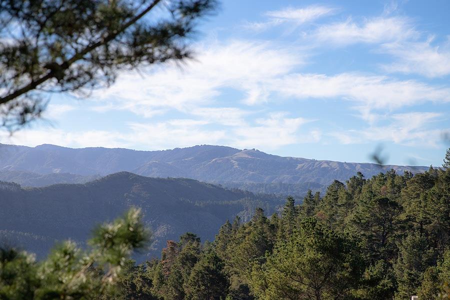 34 Tehama (Lot 29), CARMEL, California 93923, ,Lots And Land,For Sale,Tehama (Lot 29),40965622