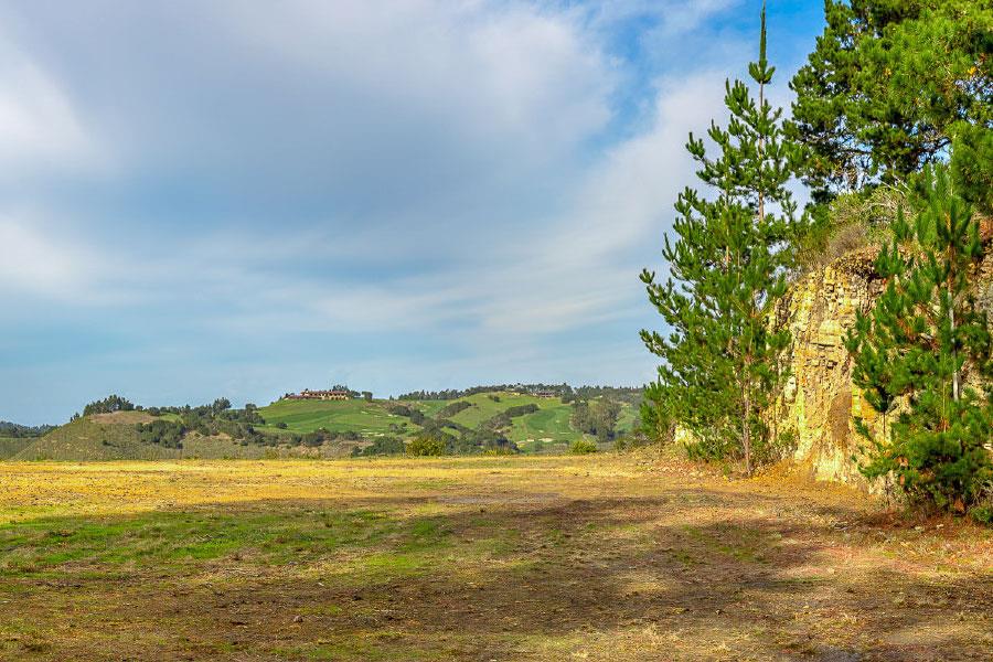 34 Tehama (Lot 29), CARMEL, California 93923, ,Lots And Land,For Sale,Tehama (Lot 29),40965622