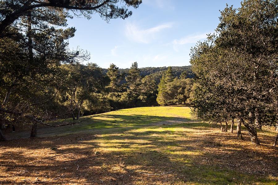 21 Tehama (Lot 39), CARMEL, California 93923, ,Lots And Land,For Sale,Tehama (Lot 39),40965625