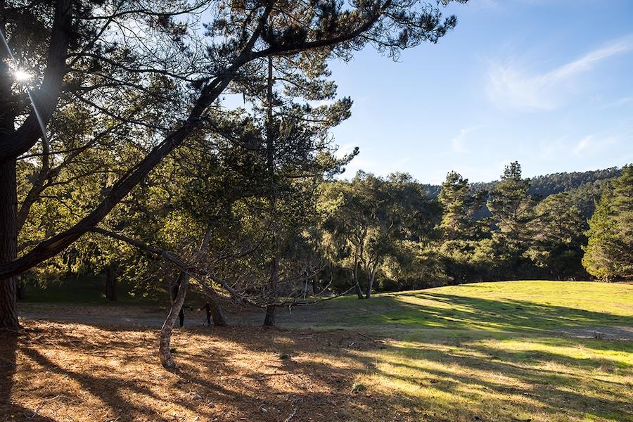 21 Tehama (Lot 39), CARMEL, California 93923, ,Lots And Land,For Sale,Tehama (Lot 39),40965625