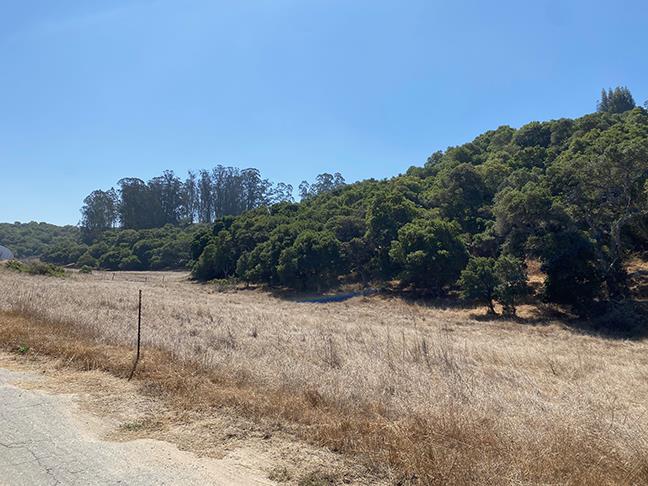 18050 Cunha Lane, SALINAS, California 93907, ,Lots And Land,For Sale,Cunha Lane,40965624
