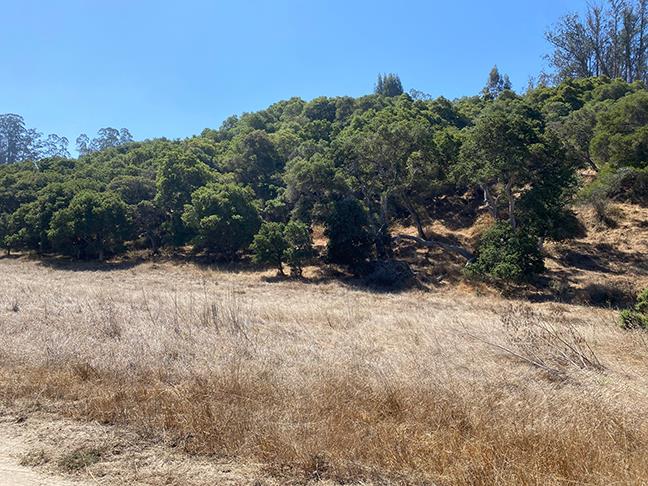 18050 Cunha Lane, SALINAS, California 93907, ,Lots And Land,For Sale,Cunha Lane,40965624