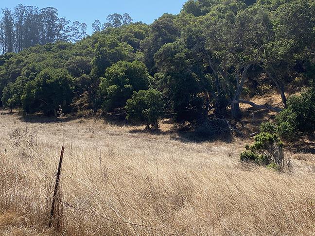 18050 Cunha Lane, SALINAS, California 93907, ,Lots And Land,For Sale,Cunha Lane,40965624