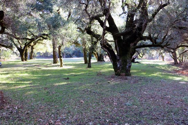 12 Arroyo Sequoia, CARMEL, California 93923, ,Lots And Land,For Sale,Arroyo Sequoia,40965630